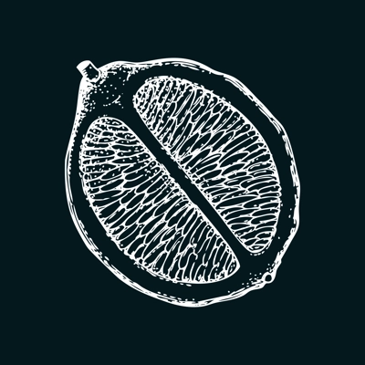 Vintage lime sketch on chalkboard. Citrus fruit slice hand-drawn vector illustration. Exotic plant drawing in engraved style. Botanical design element. NOT AI-generated